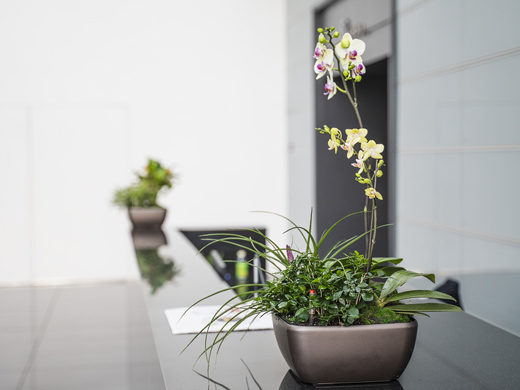 北京创美怡园花卉有限公司